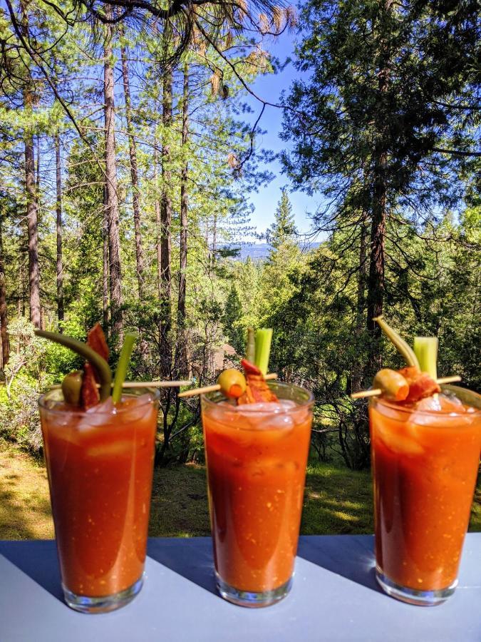 Breckenridge Chalet Near Yosemite. Dog Friendly! Groveland Buitenkant foto