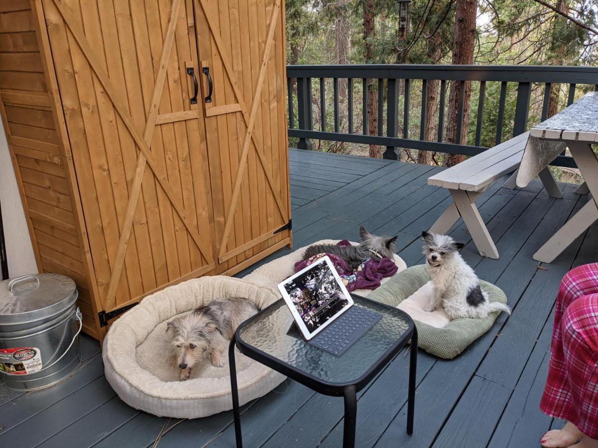 Breckenridge Chalet Near Yosemite. Dog Friendly! Groveland Buitenkant foto